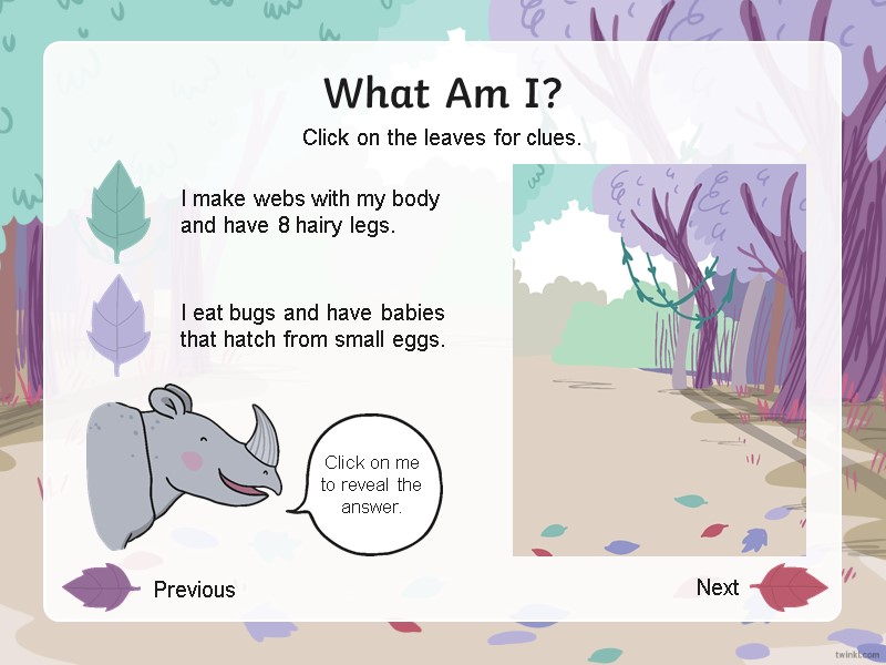 What Am I? I make webs with my body and have 8 hairy legs.